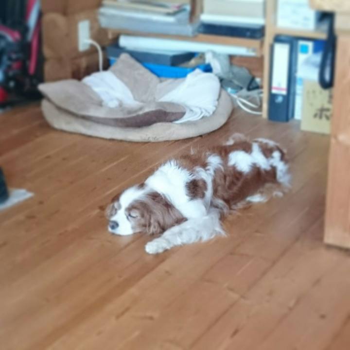 7f0c4149 8af1 484b b273 79ff2091609a 1530489496855