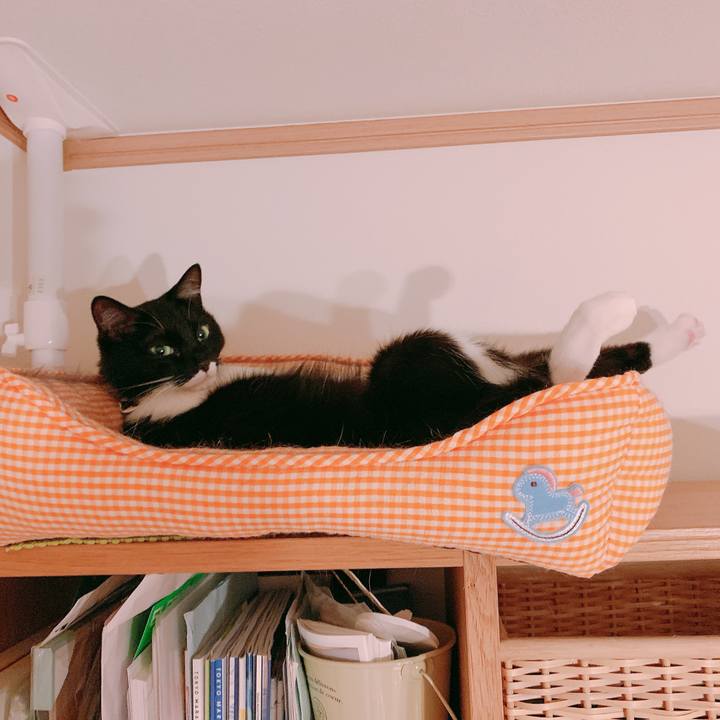 7f0c6bf2 e038 469c 8e9d 0a3d0a402105 1559573481919