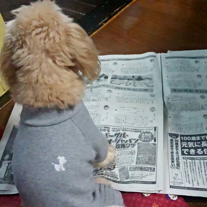 7f0c8847 e1ac 4f3d 8030 4f25f1afd617 1514105671631