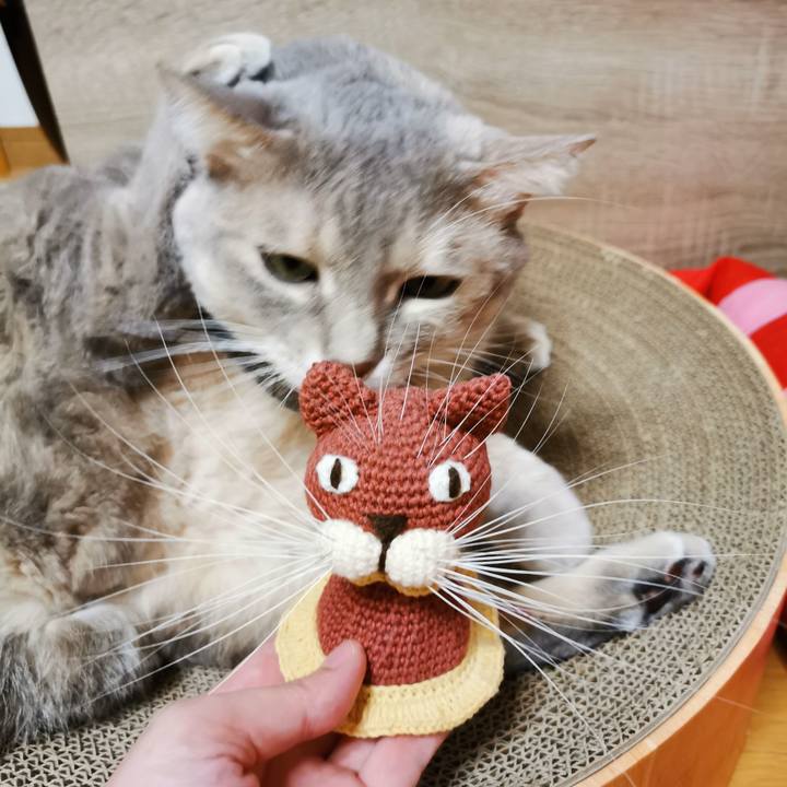 7f0c8f32 7d6f 498d 933b 132c193180f1 1664164210846