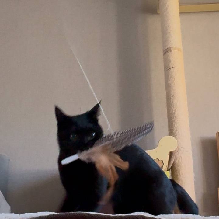 7f0ca2ea 6a26 4d01 85b2 cd9cd97d6c09 1739075088980