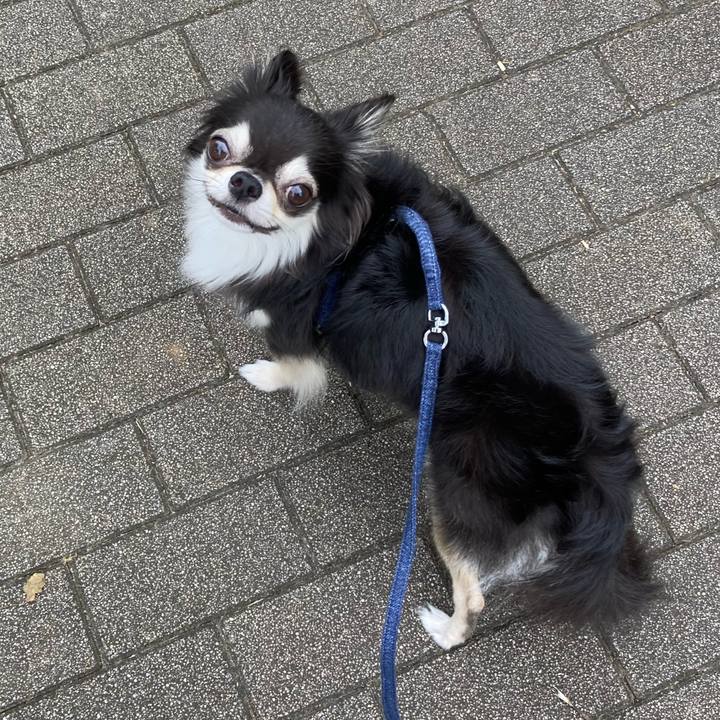 7f0cb83c bccf 4654 8400 375bbb3f1a6d 1664462222832