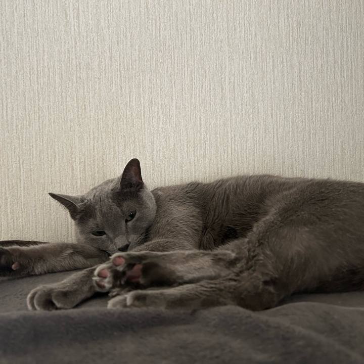 7f0cc6ae 7566 47c1 a007 7af74abeb085 1765067836204