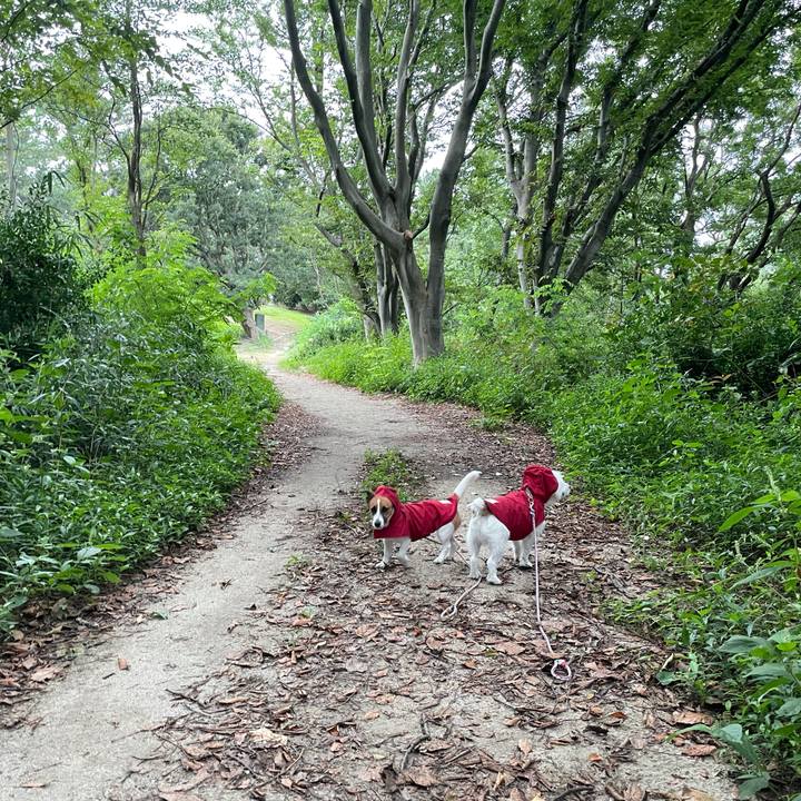 7f0cc878 8003 4f62 a0a5 8b6f83413028 1631055235391