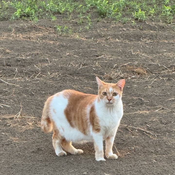 7f0cd476 3327 4c08 a05a 1eb1098ce09e 1756248424670