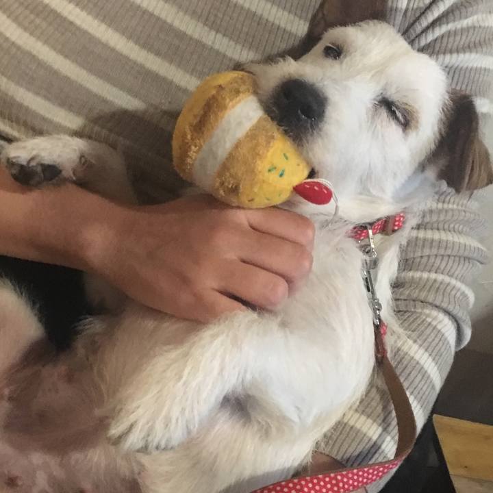 7f0cf10d ac7f 44f8 b1dc 4d0a923eb3df 1546006187920