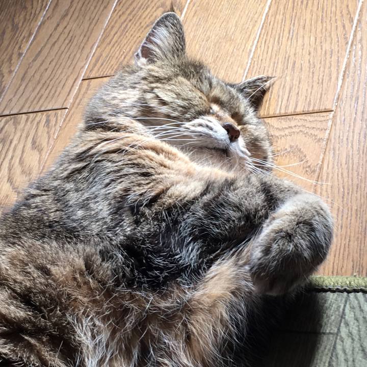 7f0d0e46 ea3a 44fa 8127 b4e9c156e428 1520055373793