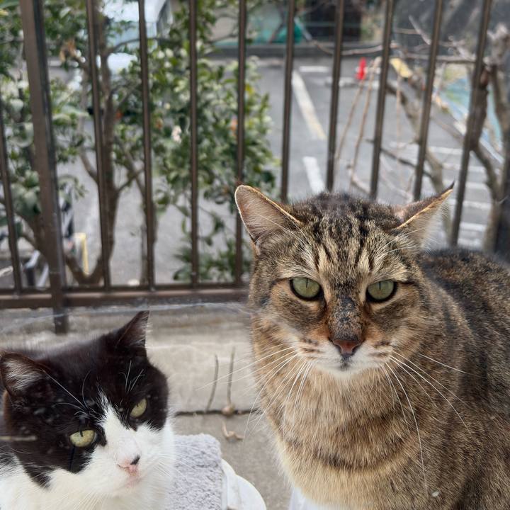 7f0d1244 cb18 430d 8910 38bb9e111aaa 1773646145474