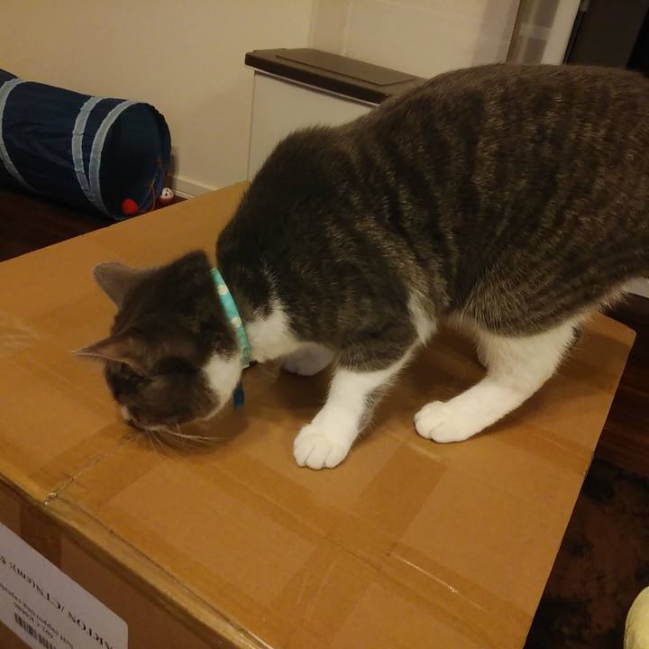 7f0d42af 845c 47ab 9f54 556d7c24b1af 1580111068471