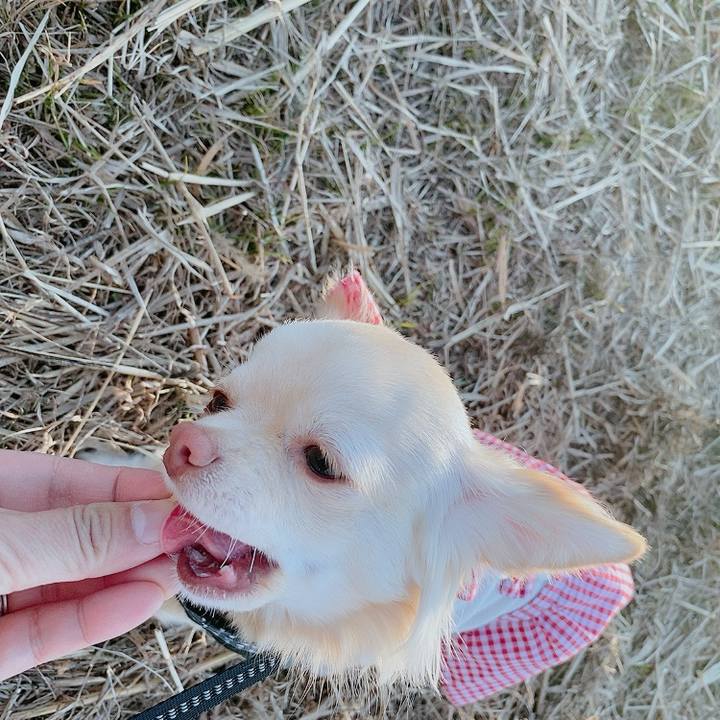 7f0d5e9d 35bb 41d7 b28c 93138491cb46 1612694870055