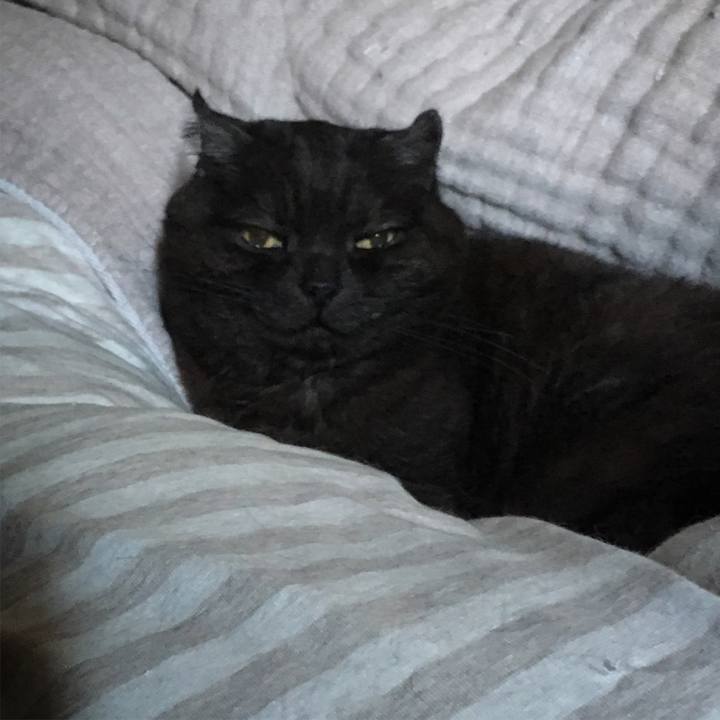 7f0d7d47 3ffb 4d15 9342 d69788162810 1555376931261