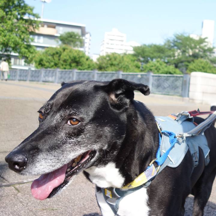 7f0d8bb8 568e 43ad a9d1 c89adf3cd2a5 1747097015243