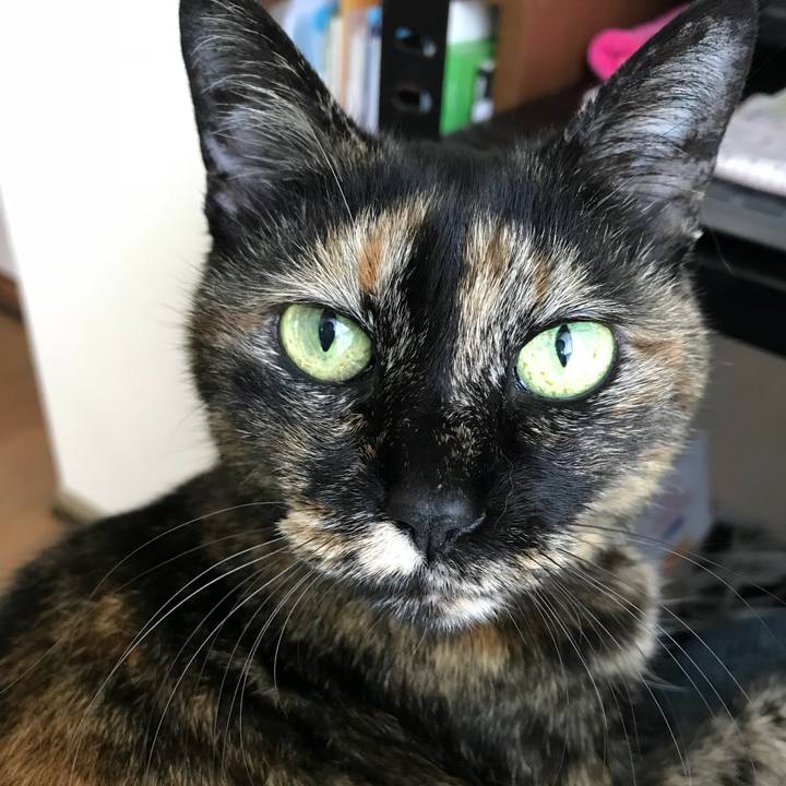 7f0da5ef 4403 41e9 8b1d fc7b55822c21 1525055092885