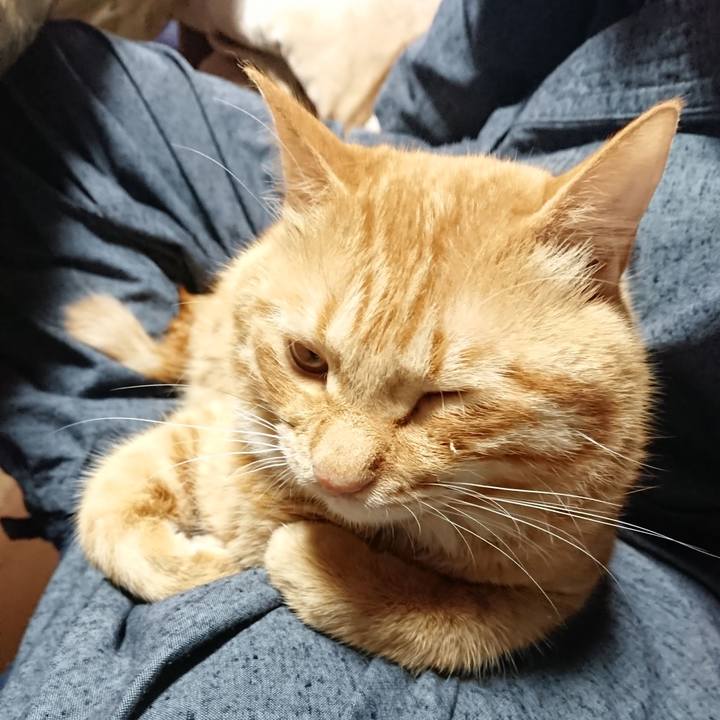 7f0da6c3 b791 4f28 bdfa d34ea241d73e 1661726259511