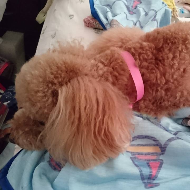 7f0daec5 12f9 40fd b243 4a30398449c3 1532912922060