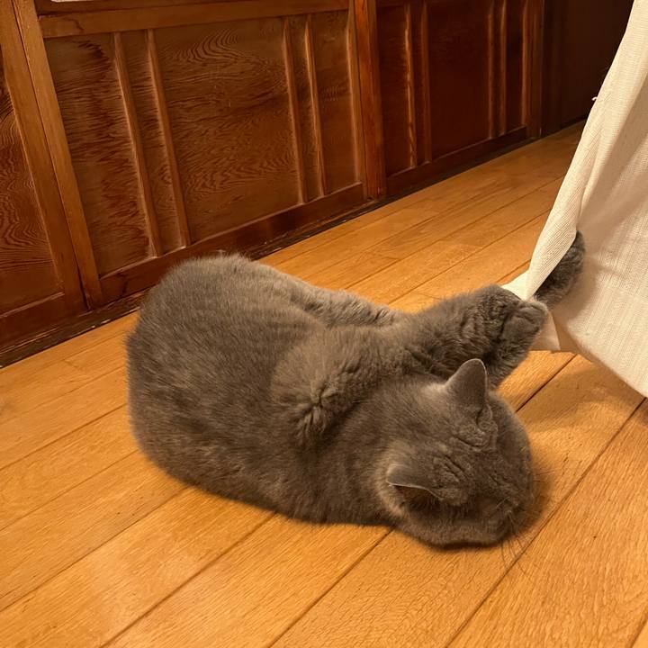 7f0dc4eb ce81 4c67 8d40 5bb4852cfeb0 1658230907981