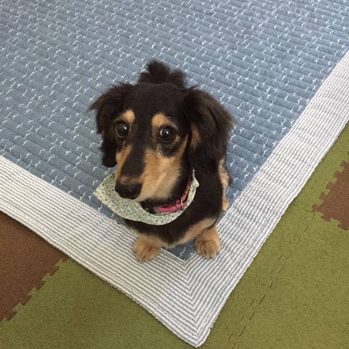 7f0e38ff a771 45d8 8565 6dd2fc8be8eb 1532329445531