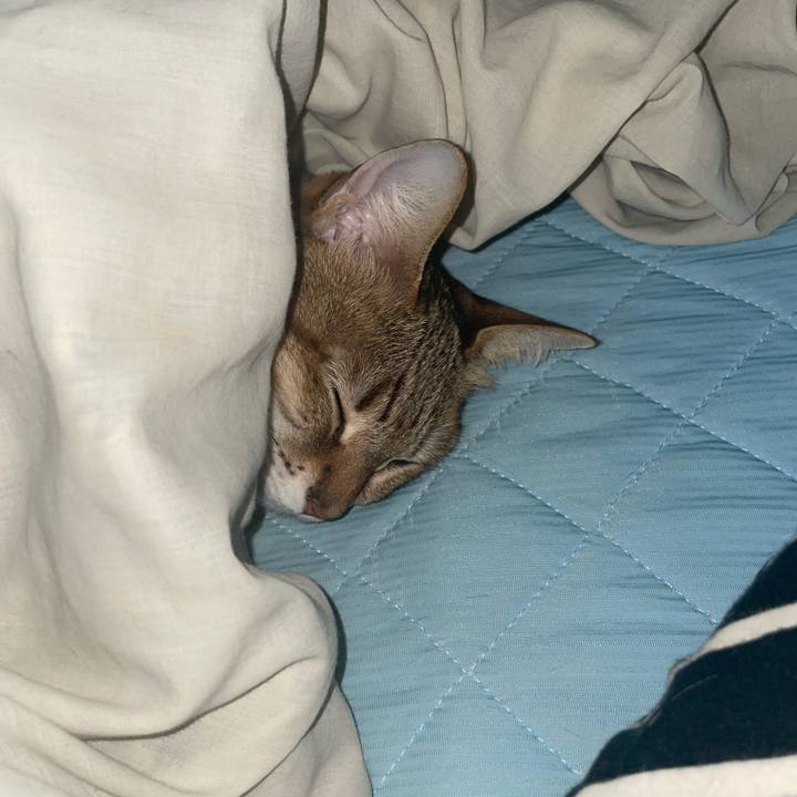 7f0e434d 71cd 4db8 b1c8 560cd30a243a 1742167794881