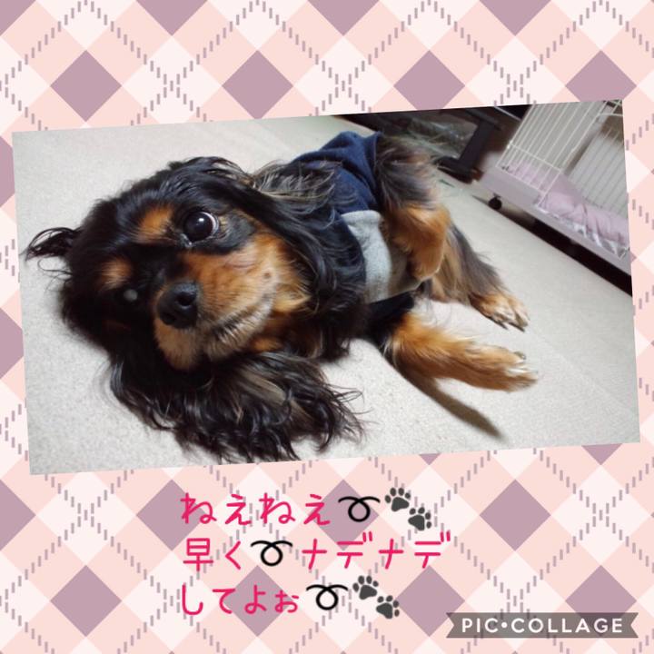 7f0e48c4 983d 4643 82b3 9f213ee89e3d 1547982324592