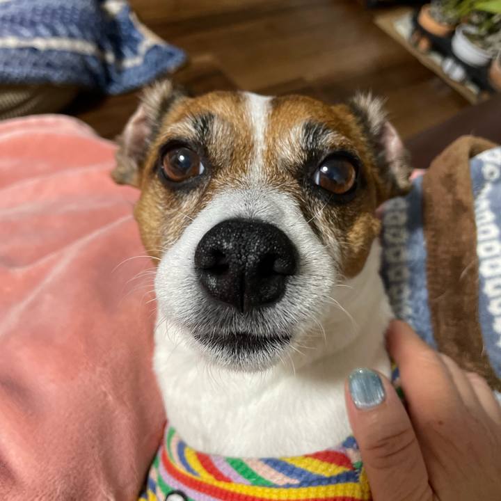 7f0e4aff 1b2d 4052 aa3e 36056c3948f5 1737362321179