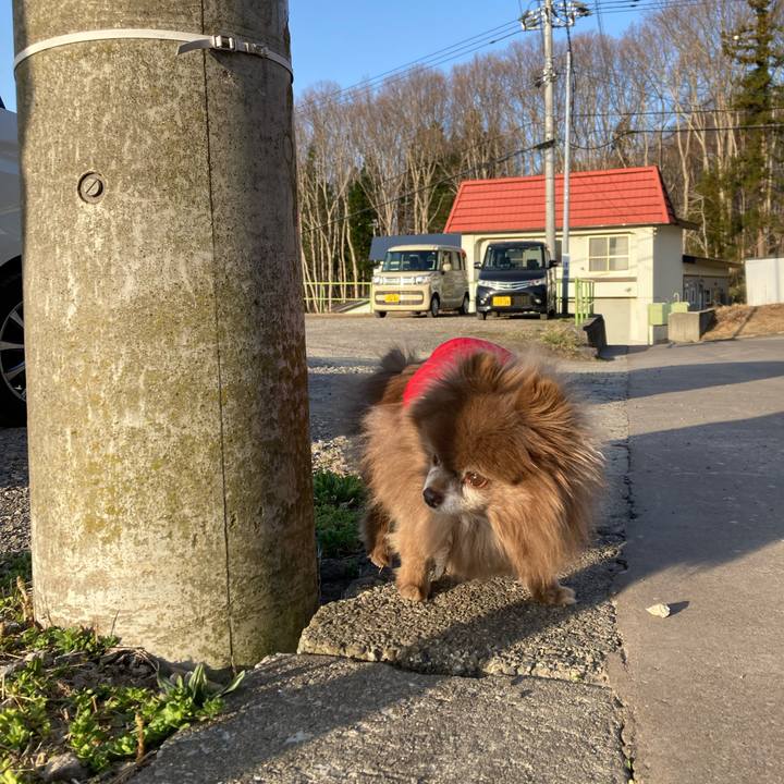 7f0e6db5 fd8e 4794 9293 e98f468e15b0 1712783525220