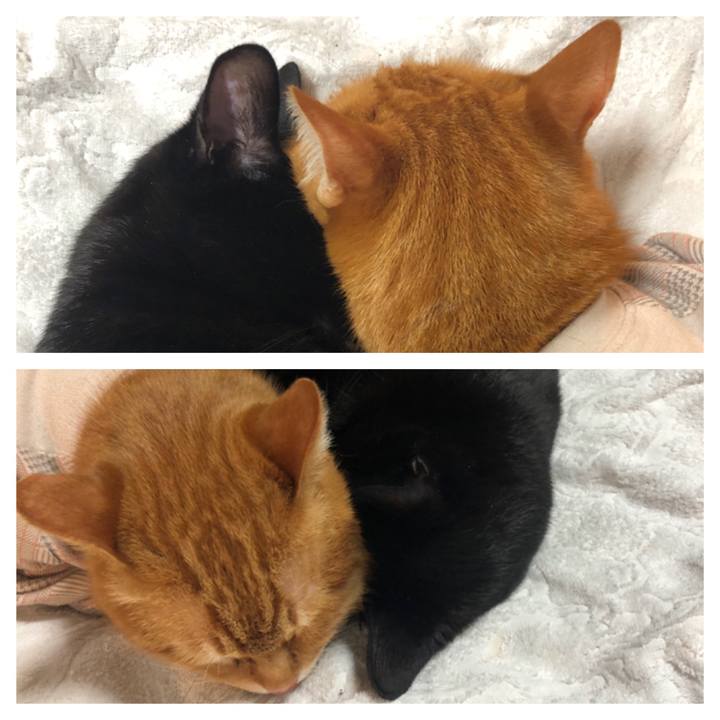 7f0eaf0c 4b0c 40f6 8097 bb8f3ac02303 1682519043180