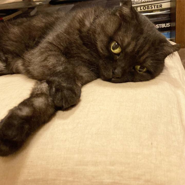 7f0eb4eb 9433 4376 a909 6e8a1fe62a91 1599218800573