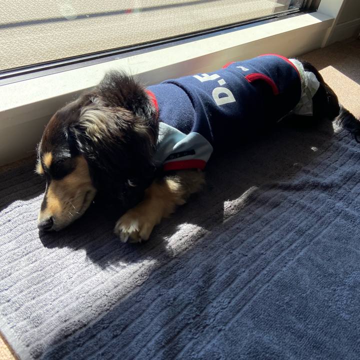 7f0eff60 ebb2 4ef2 85ea 155ac41ec8ff 1677470452505