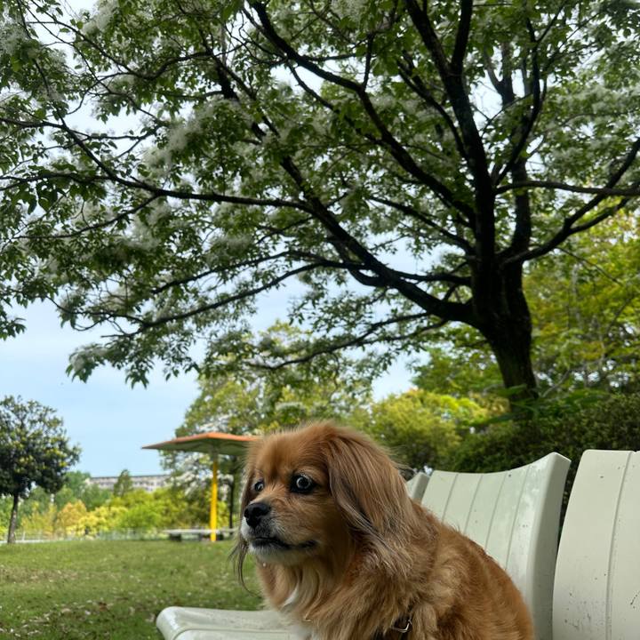 7f0f5586 fef0 40f4 bc9e 4238b62e70fa 1714425280323