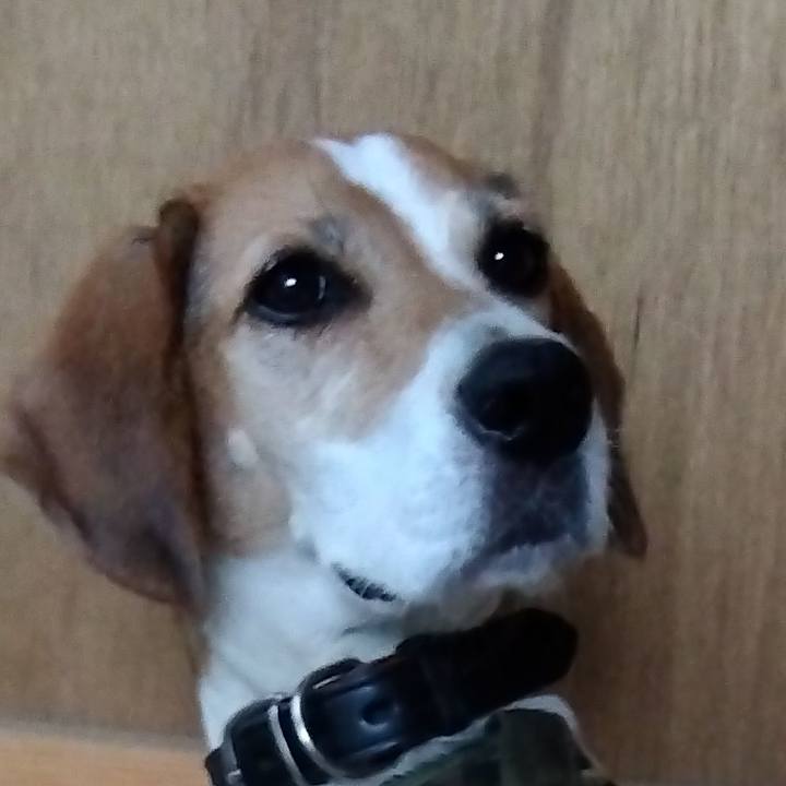 7f0fbb45 1b35 492e b4d8 77ba17b7d6c7 1695803860717