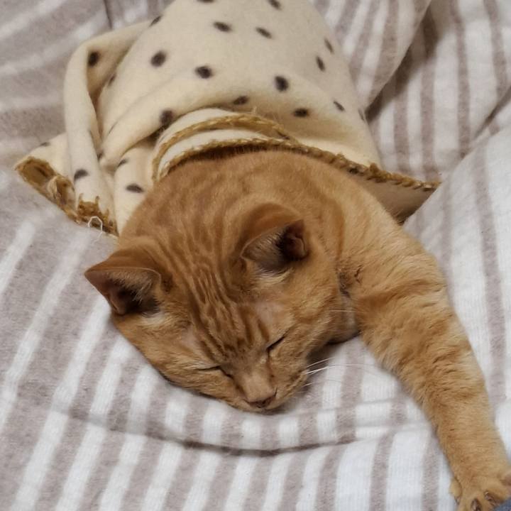 7f0fd3ff 2dbe 42c5 88f7 6f436c7bbc8d 1744030373651