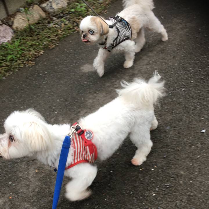 7f0ff511 caed 4784 a854 c05370836e90 1624574427142