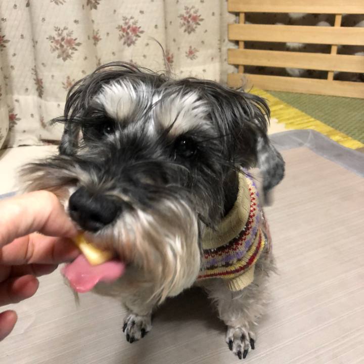 7f103580 bdcd 4881 8d46 69b635f2a3d7 1614449660542