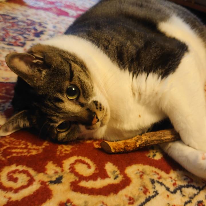 7f105f57 21b8 4785 a289 9583122a44db 1650673272501