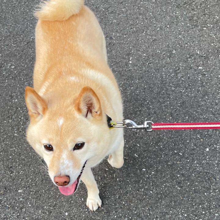 7f1071b2 749e 48f3 9f8a ac16cbaa3904 1714340885213