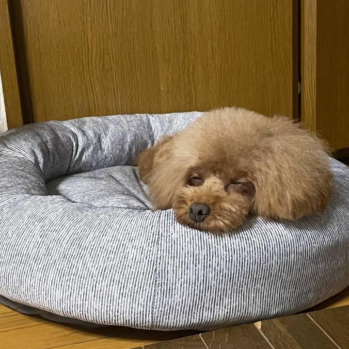 7f1093ec e23e 41ba 89e8 538f9b867b27 1627804060144