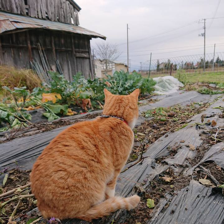 7f109e24 e4e7 4a70 8c9f 5f0700c09779 1573891102977