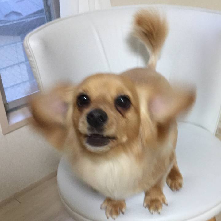 7f10e78f 1f85 4b1a 9561 94da55429095 1557221838297