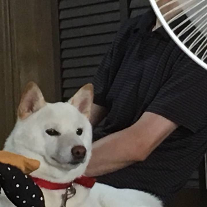 7f10f2d5 b0da 46b3 9417 265a65b91509 1532253217571