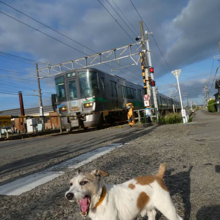 7f110565 d4f1 4434 9c4d 90abd682787e 1593351621447