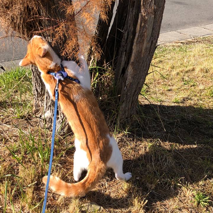 7f1113c7 1f2b 4837 acdb 2691262e21fd 1544424558238