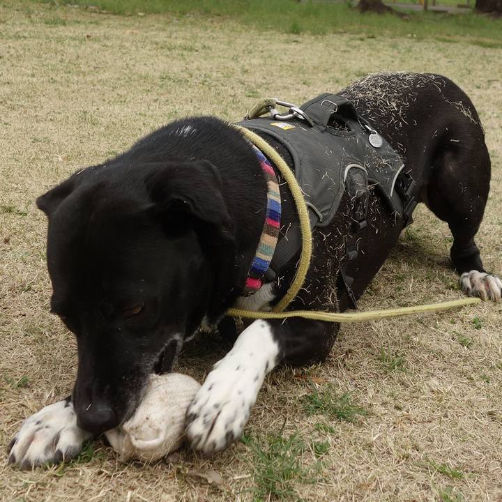 7f1174a7 29b0 4eb8 a74d 3c1865bf32ba 1647824993494