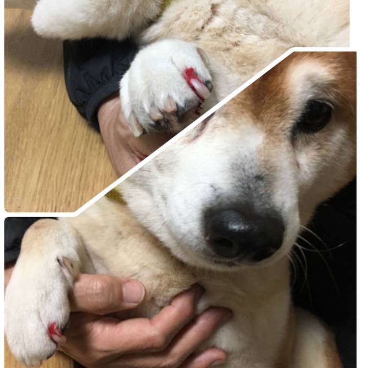 7f1189cb a9a5 4bd1 bd4b a81f0dbadf81 1520425319490