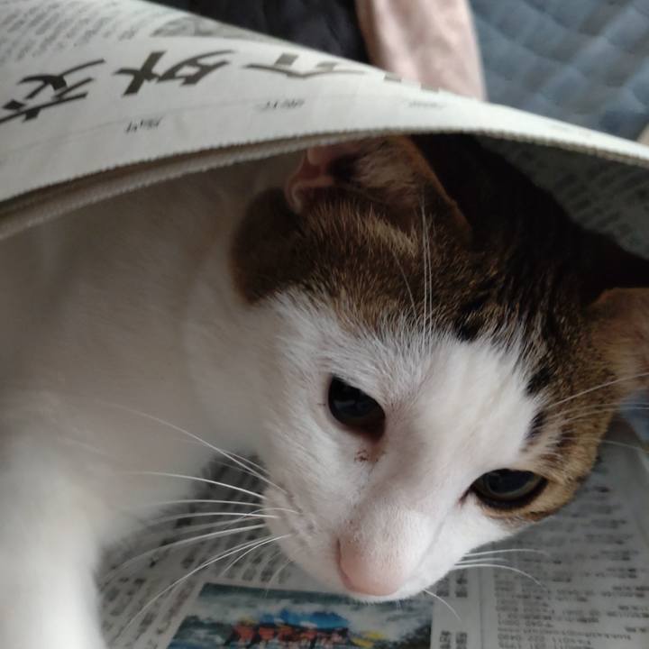 7f11b8a1 c807 45b9 8a1e b59e00c10d44 1683330990748