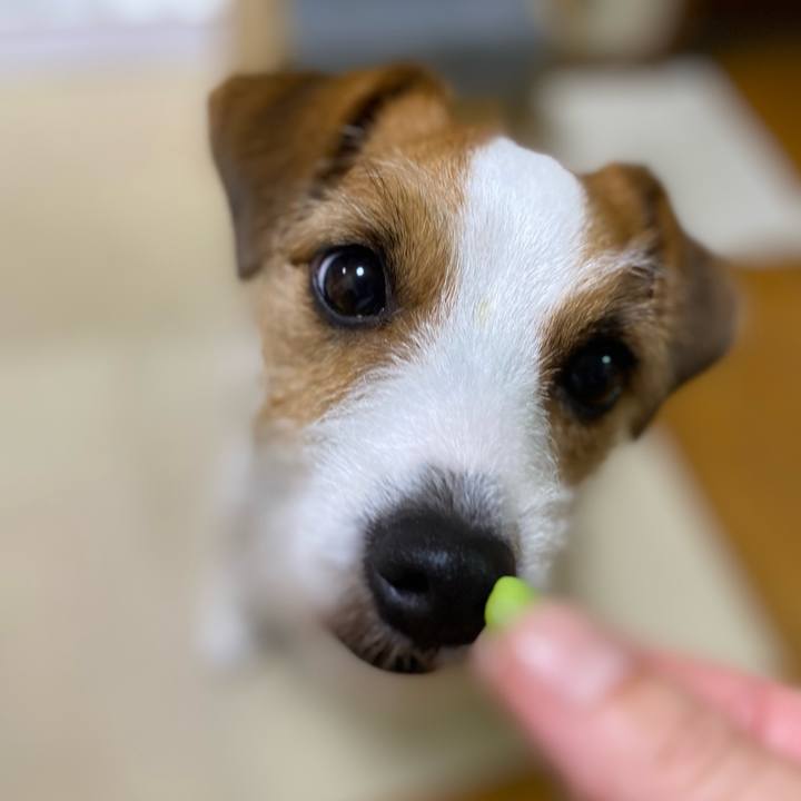 7f11befe 00ef 4037 aff0 3b92b648e95d 1688478628574