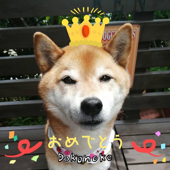 7f11bf31 a687 424a 8a7f 11b9e423fdfe 1685968969328