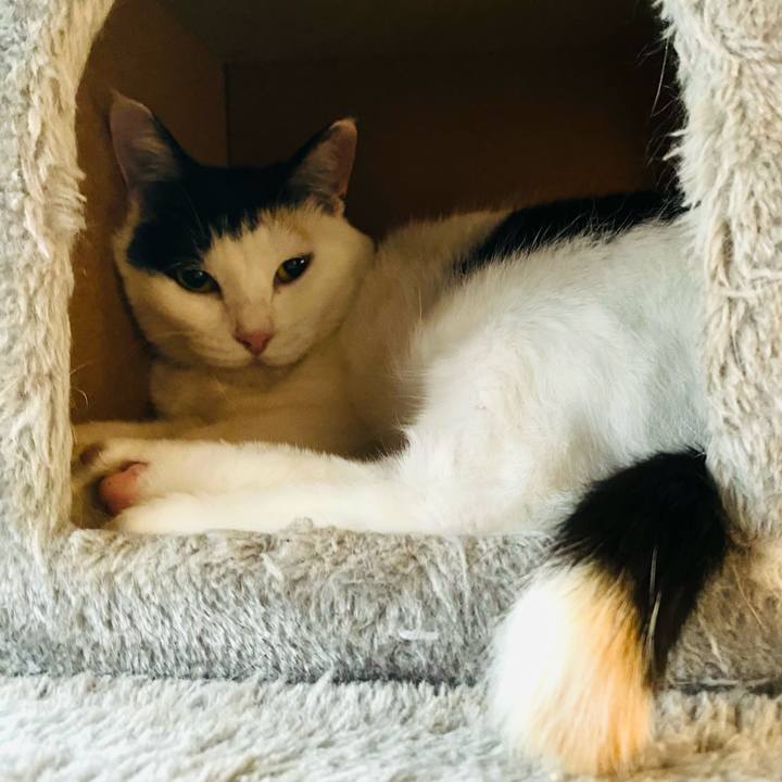 7f11c342 c4a5 4f36 80c6 9fc4f5e59cc4 1688334839691