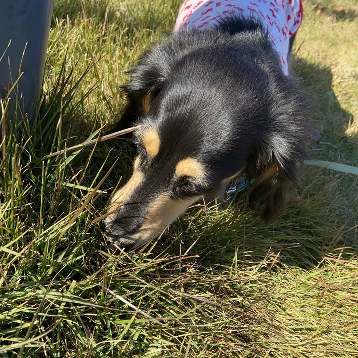 7f120a59 75a4 4be2 813b a16a2d7c0698 1733213379479