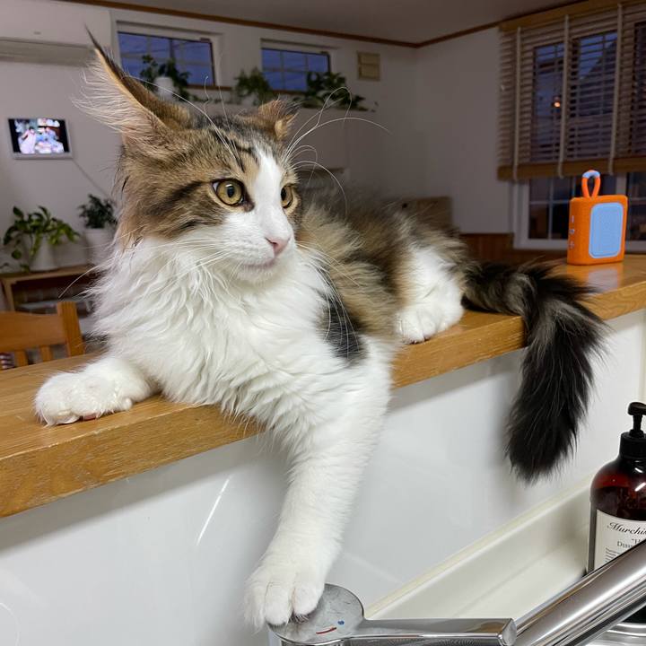 7f121ab1 ac2a 4799 9086 cbc3b5633a0c 1636580870423