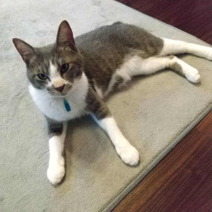 7f1224d9 9063 4cb7 9f95 d832d31cbcf1 1621288931932